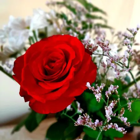 El Bounty Gasthof Puerto del Rosario (Fuerteventura)