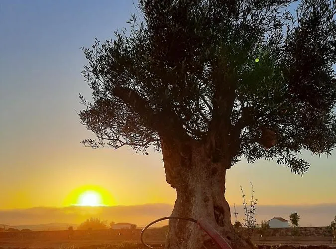 El Bounty Puerto del Rosario (Fuerteventura)