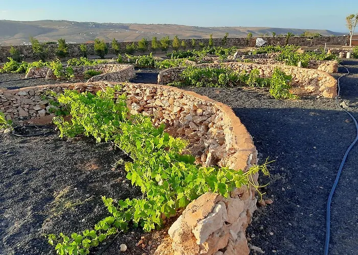 Pensionat El Bounty 3*