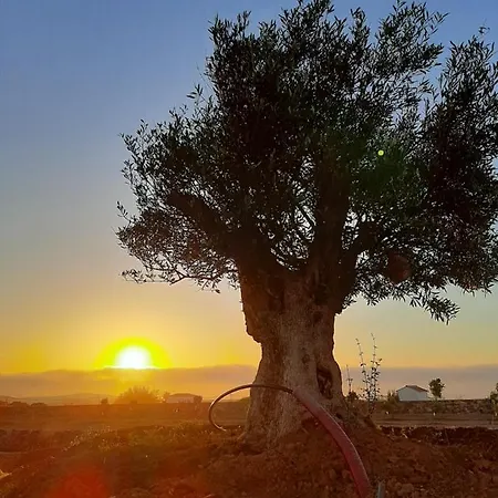 El Bounty פוארטו דל רוסריו