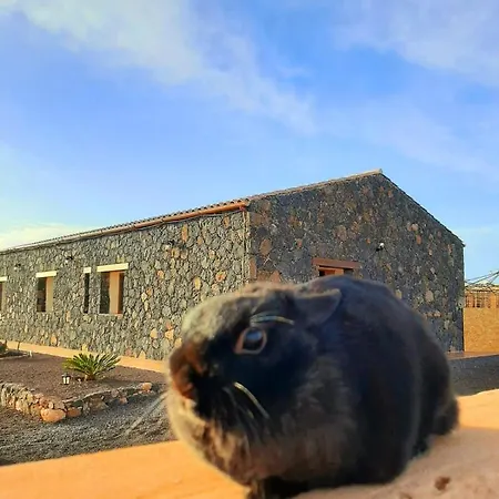 El Bounty בית הארחה