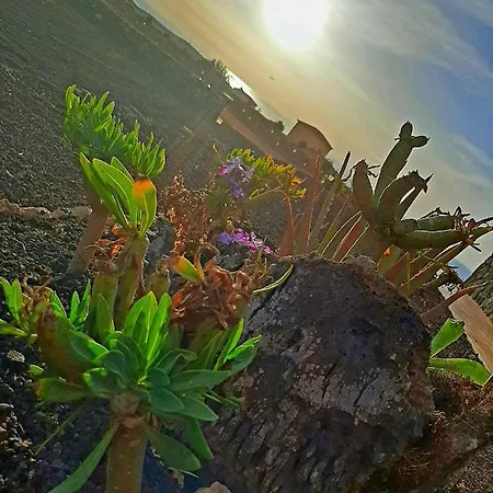 El Bounty Gasthuis Puerto del Rosario (Fuerteventura)