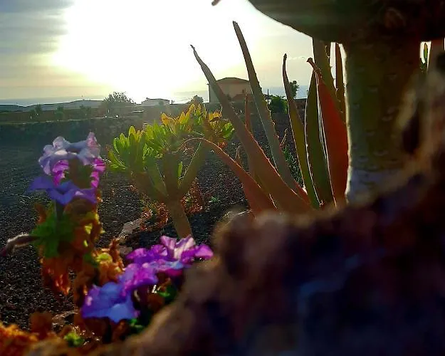 El Bounty פוארטו דל רוסריו