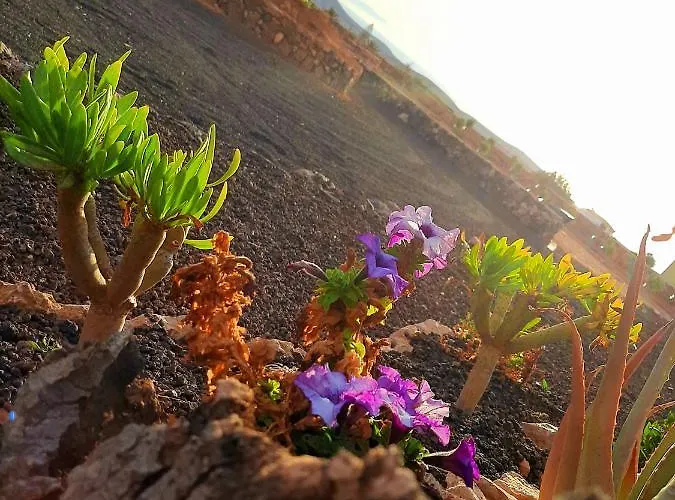 בית הארחה El Bounty 3*