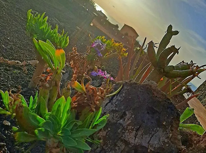 El Bounty Maison d'hôtes Puerto del Rosario (Fuerteventura)