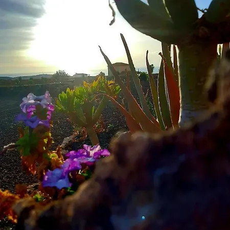 El Bounty Puerto del Rosario (Fuerteventura)