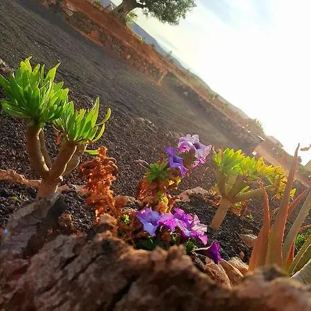 Гостевой дом El Bounty 3*