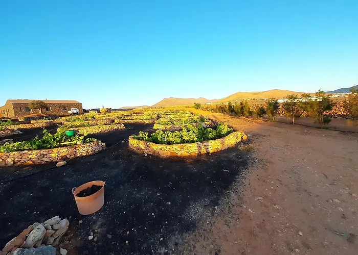 Gasthof El Bounty 3*