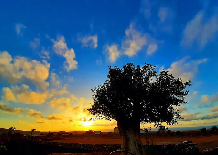 招待所 El Bounty 罗萨里奥港